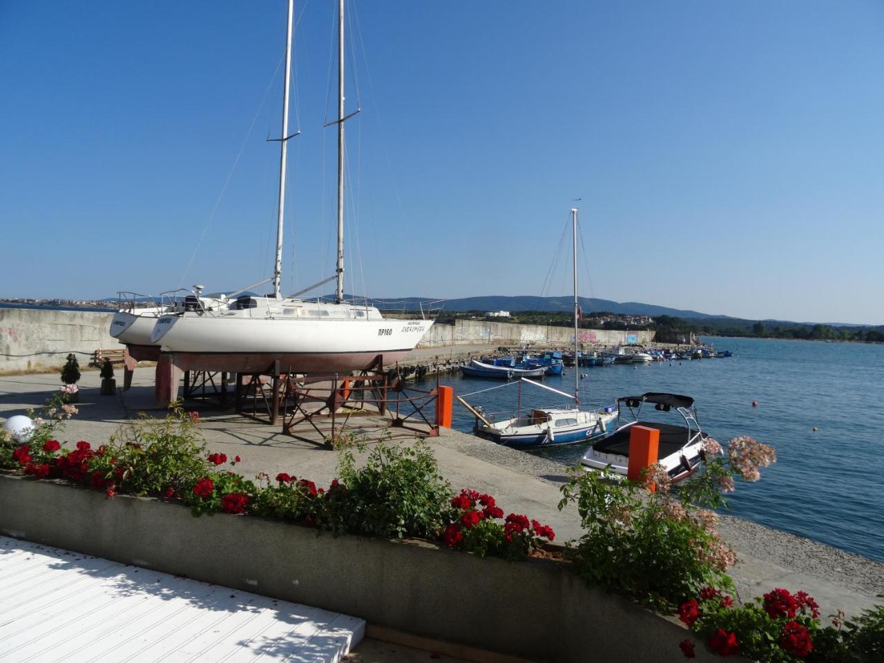 Marina 3*